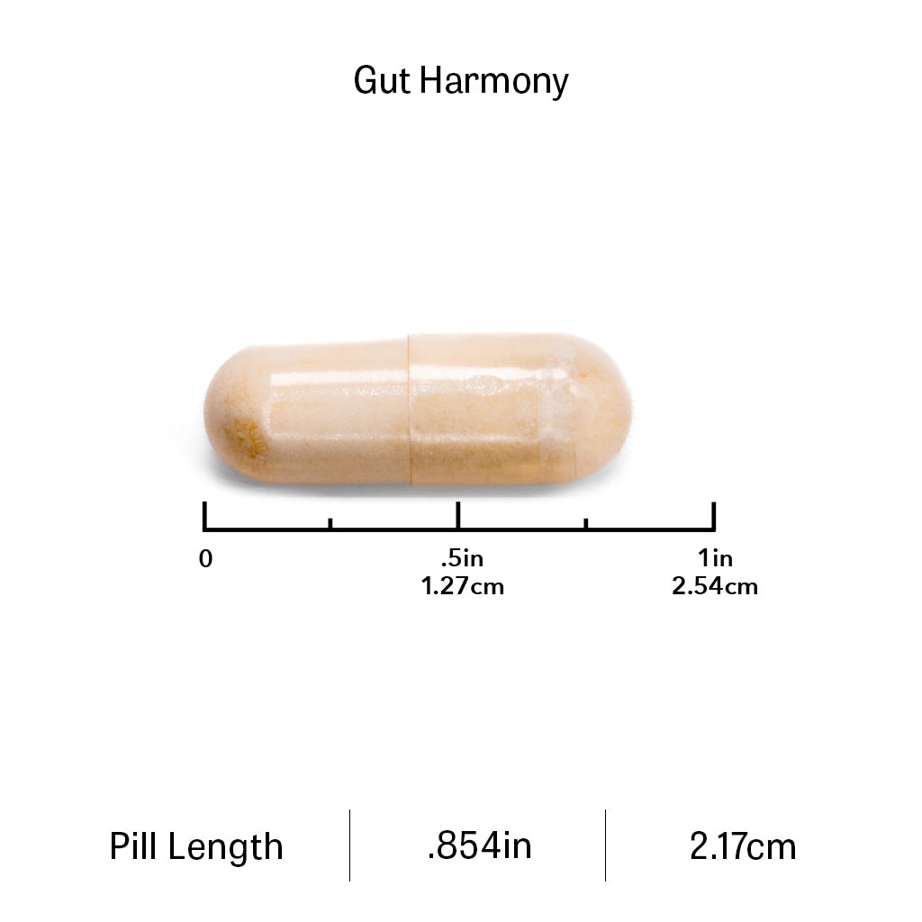 GUT HARMONY - PREBIOTIC + PROBIOTIC